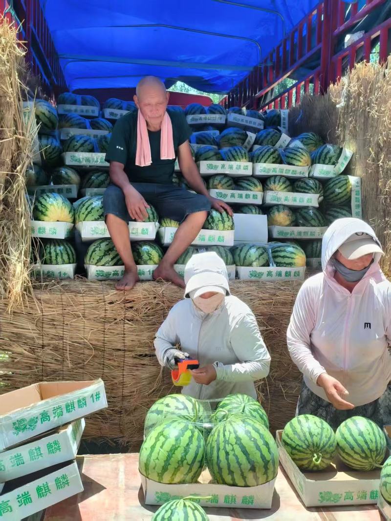 精品美都西瓜，全国代发，对接各大水果档口，小贩勿扰！