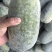水果冬瓜原产地基地一手货源精品好货一级货