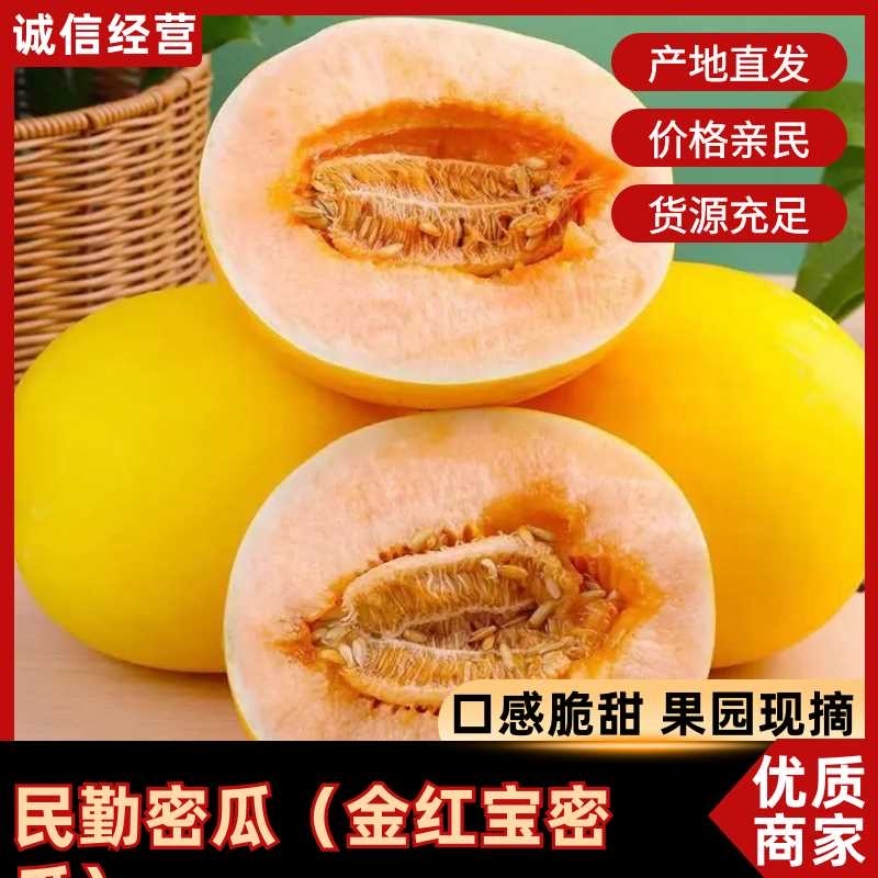 甘肃民勤蜜瓜金红宝蜜瓜大量有货/一件代发服务周到量大从优