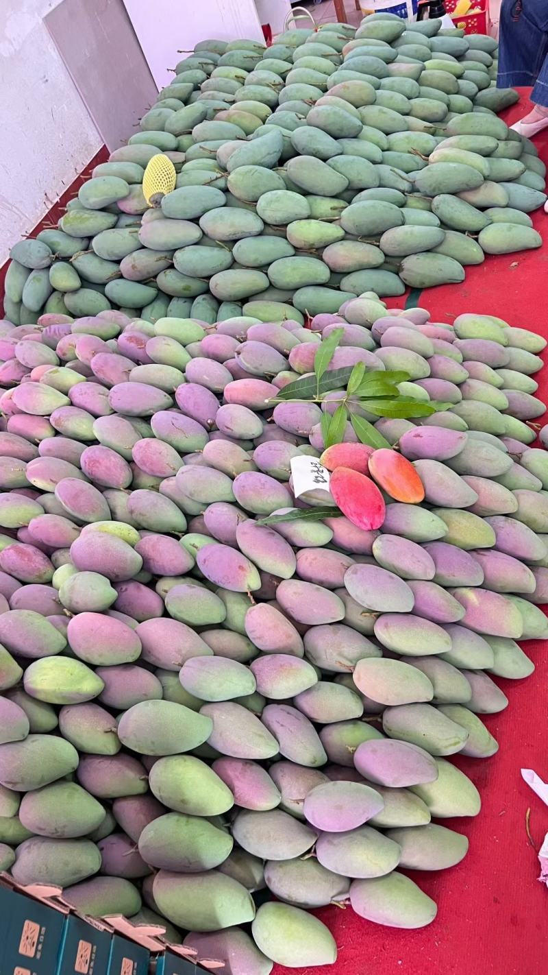 百色芒果一件代发