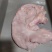 猪大肚