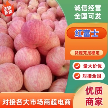 【保质保量】山东红富士苹果苹果对接商超电商市场出口
