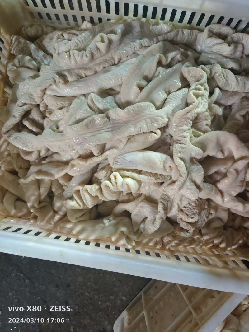 冷鲜大肠