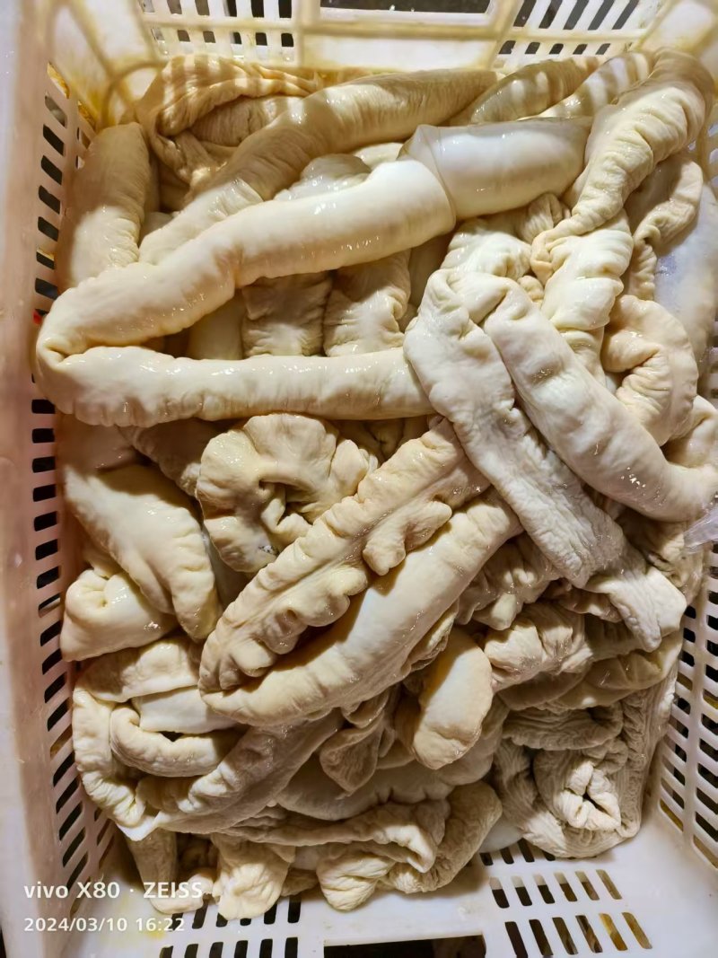 冷鲜大肠