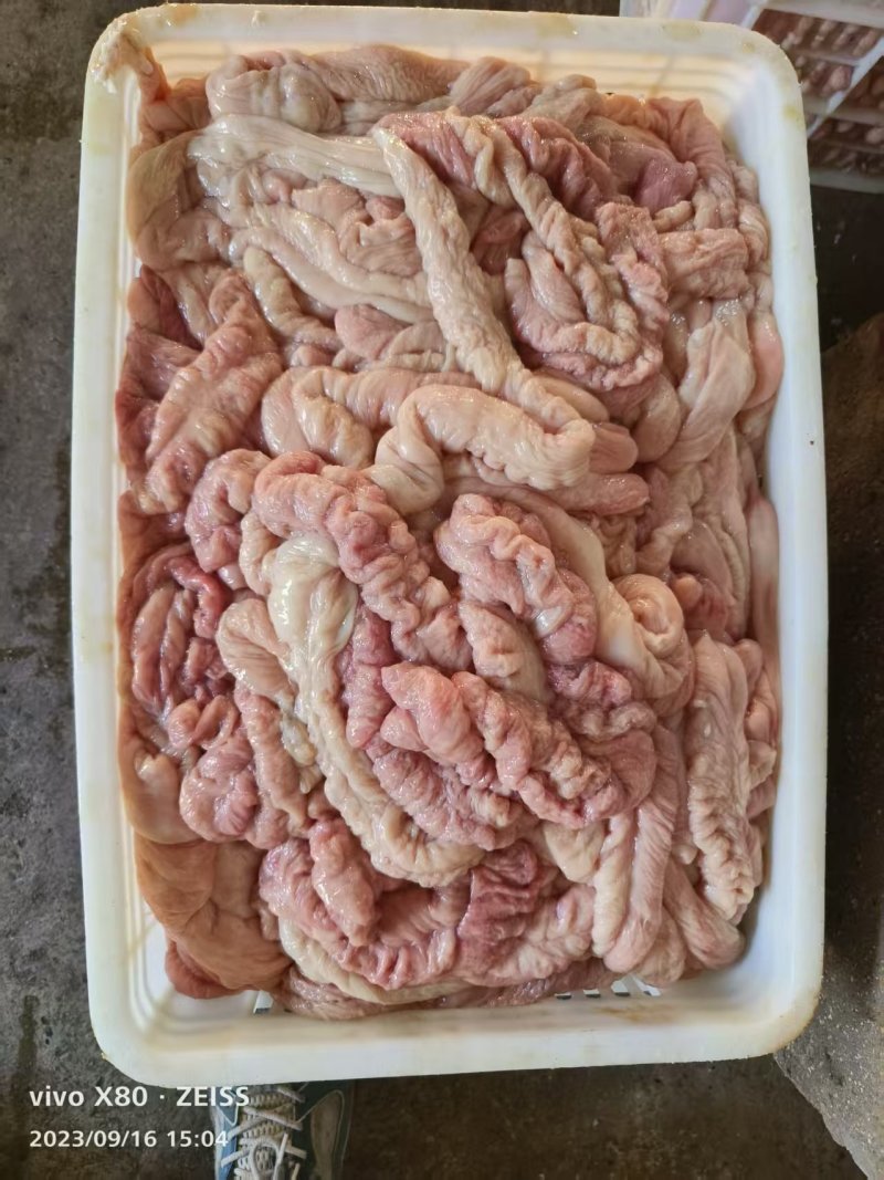 冷鲜大肠