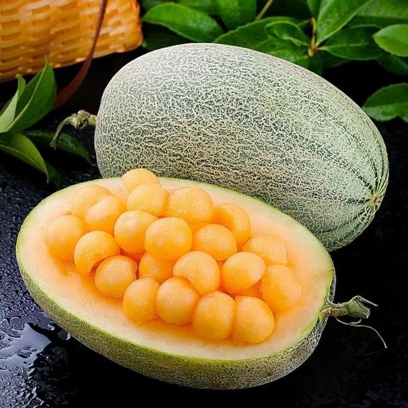 【精品】新疆西州蜜瓜货源充足/西州蜜瓜17号量大从优