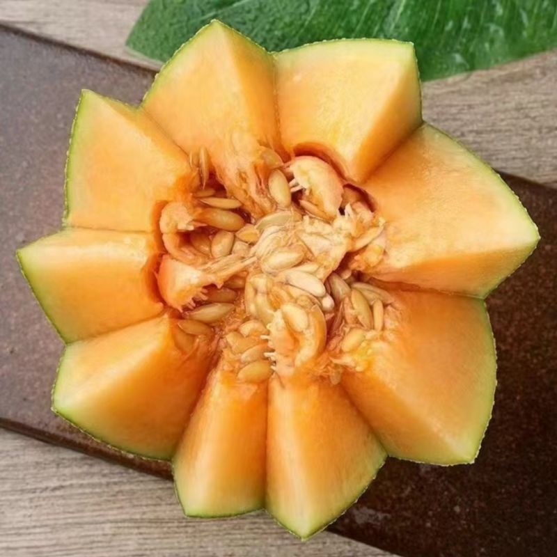【精品】新疆西州蜜瓜货源充足/西州蜜瓜17号量大从优