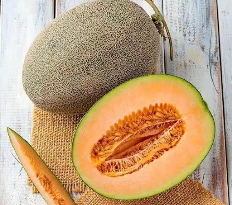 【精品】新疆西州蜜瓜货源充足/西州蜜瓜17号量大从优