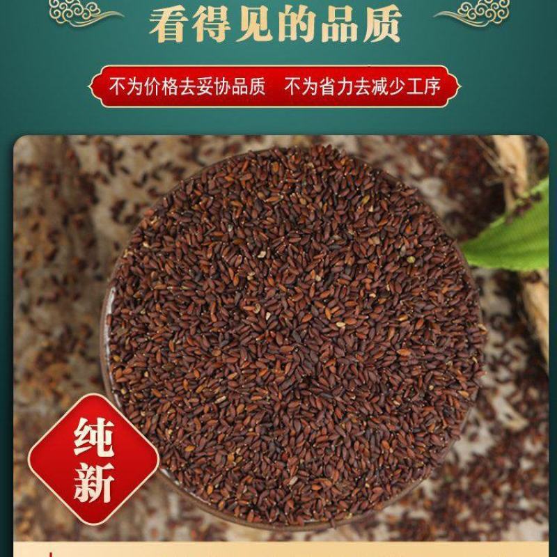荆芥籽大量现货供应中现在正是种植季，欢迎来电质询