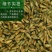 内蒙古牛膝种子，产地直发，量大从优，保质保量，欢迎来电咨询
