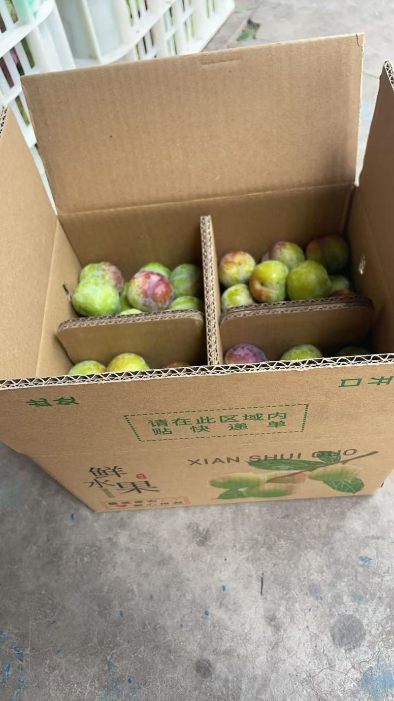 半边红茵红李一件代发