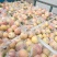 苹果:嘎啦苹果【供应团购平台：冠唐果品合作社】