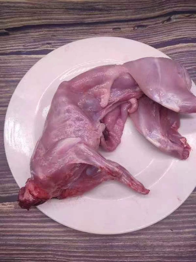 【品质保障】山东脱毛兔肉量大优惠对接全国批发电商