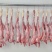 【品质保障】山东脱毛兔肉量大优惠对接全国批发电商