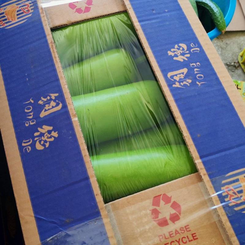 刚刚上市的精品瓠子俩百亩才开棚，打开你的财富之路