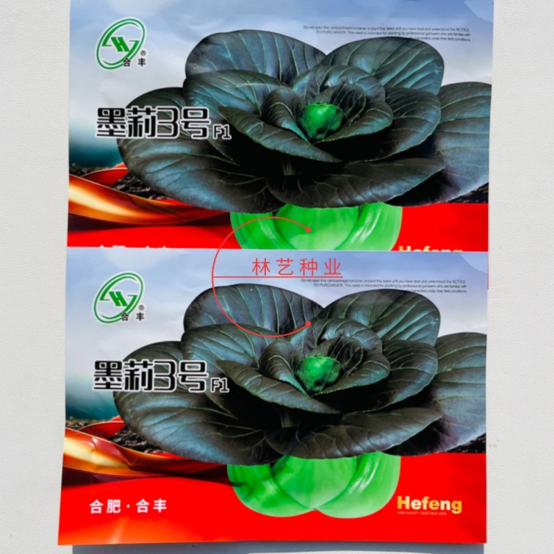 墨莉3号矮脚青梗菜种叶片墨绿色长势较快大头束腰