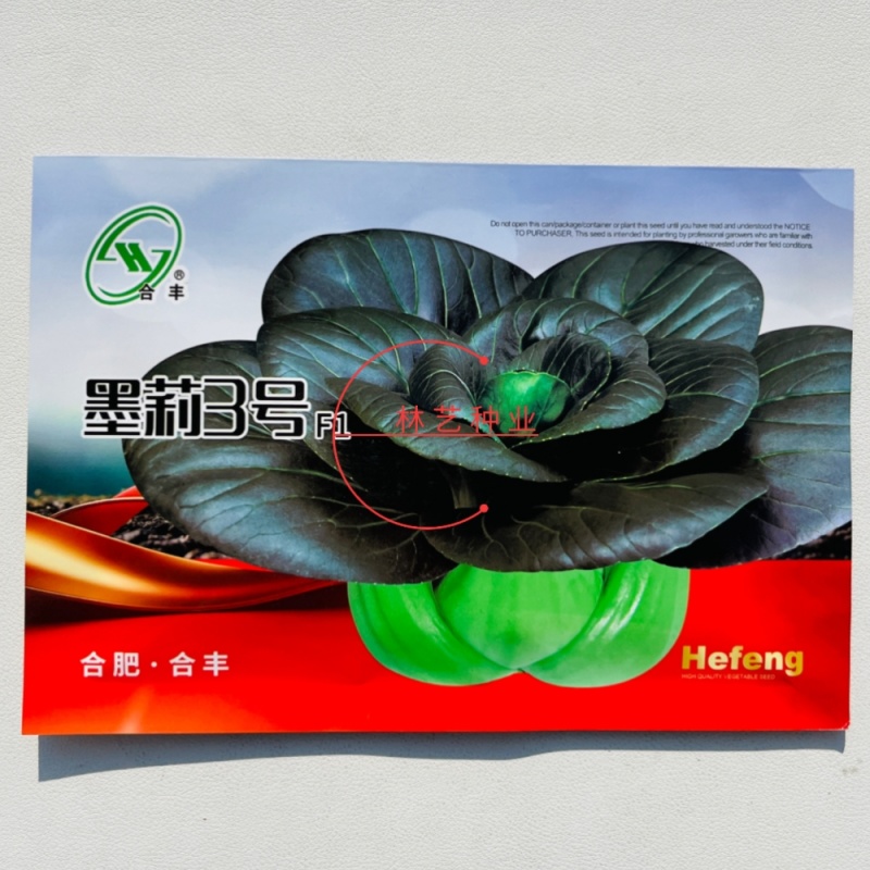 墨莉3号矮脚青梗菜种叶片墨绿色长势较快大头束腰
