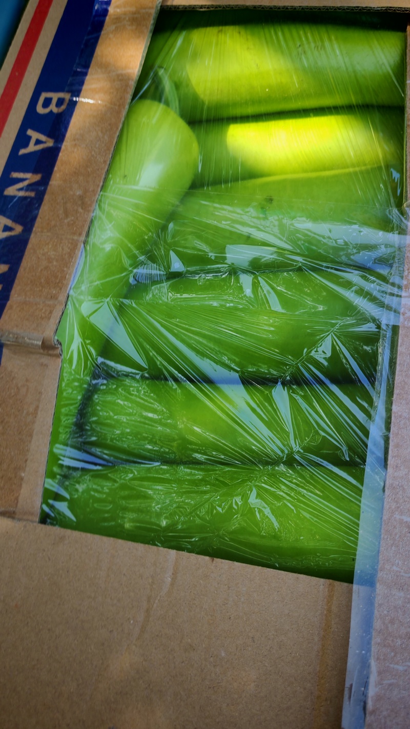 刚刚上市的精品瓠子俩百亩才开棚，打开你的财富之路