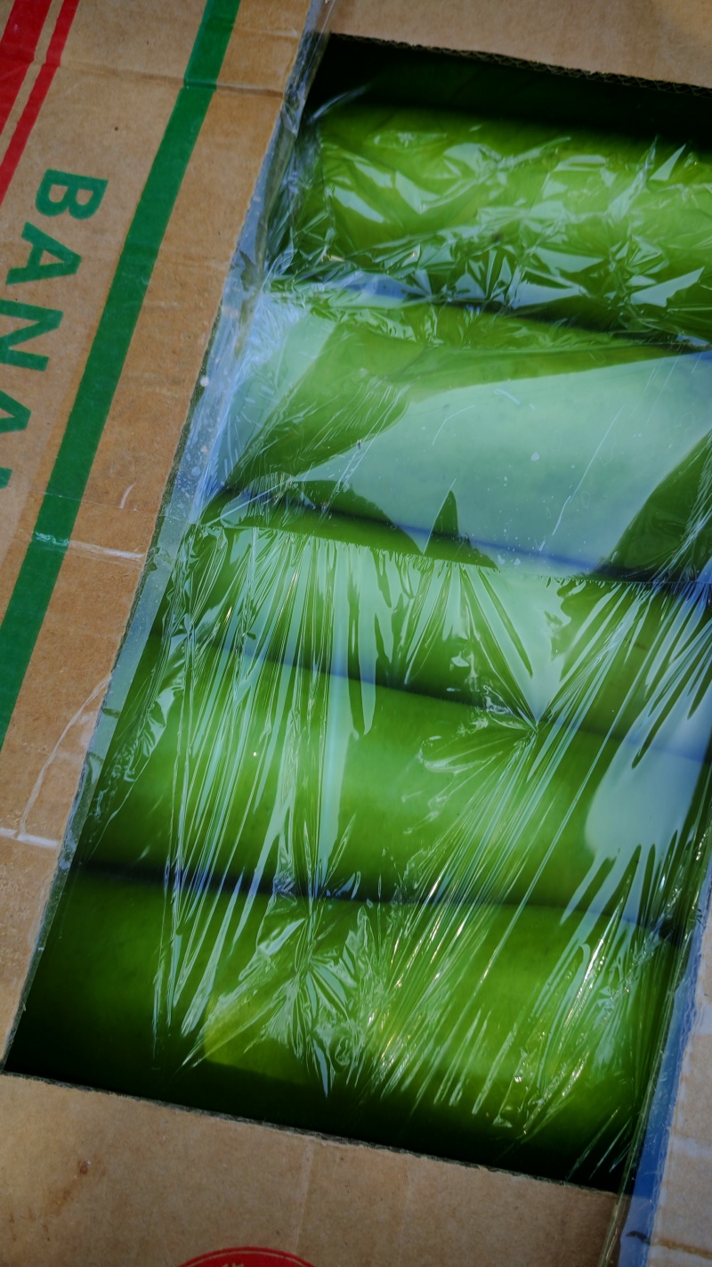 刚刚上市的精品瓠子俩百亩才开棚，打开你的财富之路
