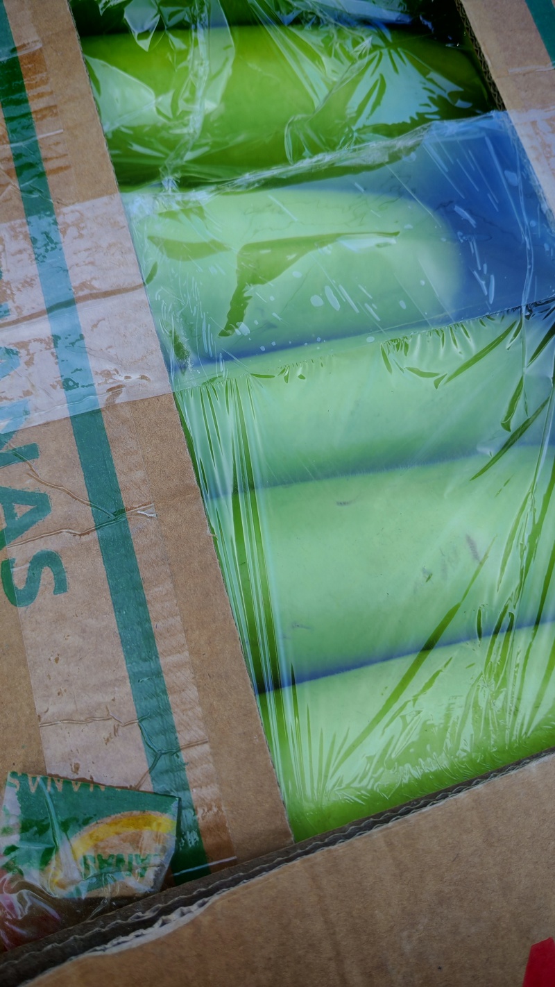 刚刚上市的精品瓠子俩百亩才开棚，打开你的财富之路