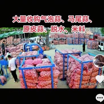 脱水蒜小蒜
