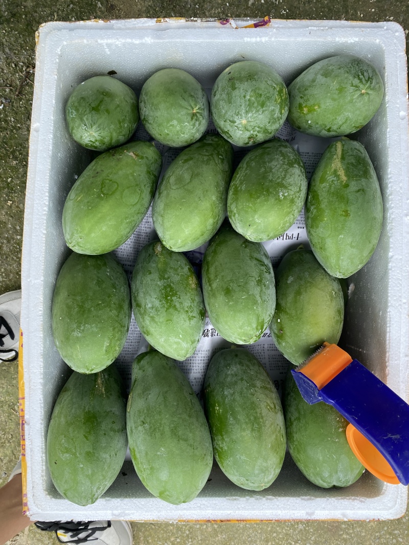 树熟大青红心木瓜欢迎各地采购商来电咨询
