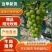 精品葡萄阳光玫瑰，基地直发，诚信经营，可对接电商商超等