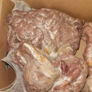 济南历城去皮熟羊肉新货资质齐全货量大日期新按要求分拣打包