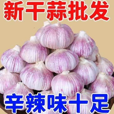自己，承包地种的大蒜，价格便宜