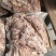 济南历城去皮熟羊肉新货资质齐全货量大日期新按要求分拣打包