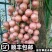 【顺丰速运】三丫果酸甜木乃果罕见稀有广西当季水果非龙宫果木赖