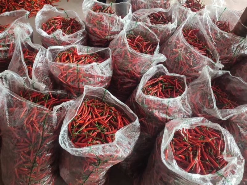 实力推荐新鲜青红小米椒，货源充足，对接全国市场
