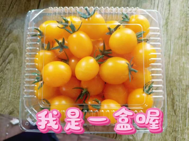 千禧，多力