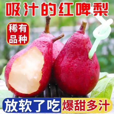 【稀有品种】红啤梨新鲜梨子4.5/8斤软糯香甜应季水果软梨红