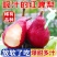 【稀有品种】红啤梨新鲜梨子4.5/8斤软糯香甜应季水果软梨红