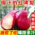 【稀有品种】红啤梨新鲜梨子4.5/8斤软糯香甜应季水果软梨红