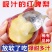 【稀有品种】红啤梨新鲜梨子4.5/8斤软糯香甜应季水果软梨红