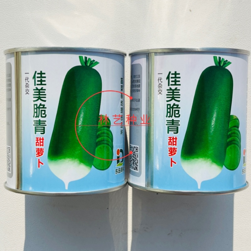 佳美脆青水果萝卜种子博萝蜜水果萝卜种子清脆爽口甜脆