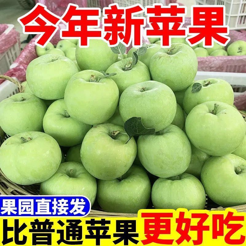 套袋华硕量大从优，欢迎新老客户前来咨询，可以视频看货