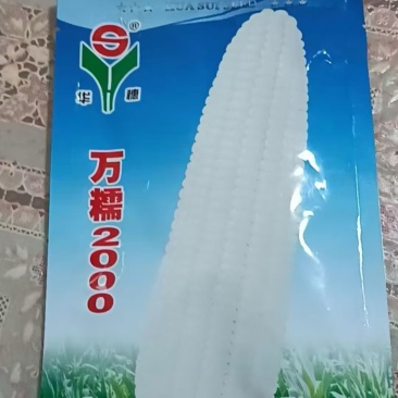 水果玉米万糯有货，有需要老板联系