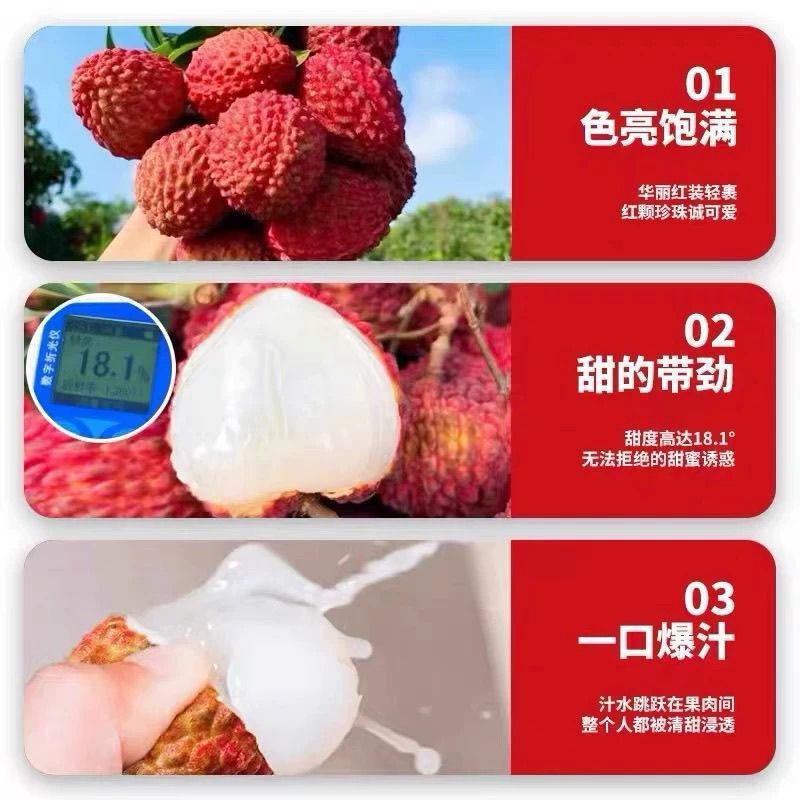 广东增城仙进奉荔枝新鲜现摘高端礼小核荔枝现货水果直发果园整箱