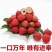 广东增城仙进奉荔枝新鲜现摘高端礼小核荔枝现货水果直发果园整箱