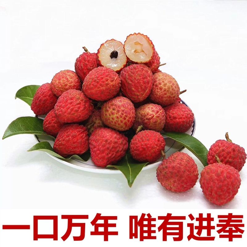 广东增城仙进奉荔枝新鲜现摘高端礼小核荔枝现货水果直发果园整箱