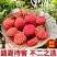 广东增城仙进奉荔枝新鲜现摘高端礼小核荔枝现货水果直发果园整箱
