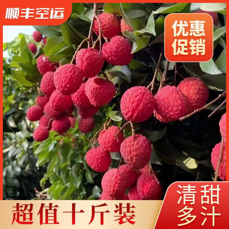 广东增城仙进奉荔枝新鲜现摘高端礼小核荔枝现货水果直发果园整箱