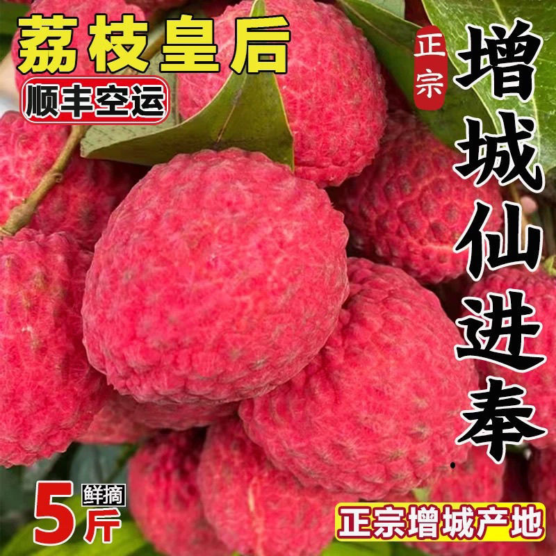 广东增城仙进奉荔枝新鲜现摘高端礼小核荔枝现货水果直发果园整箱