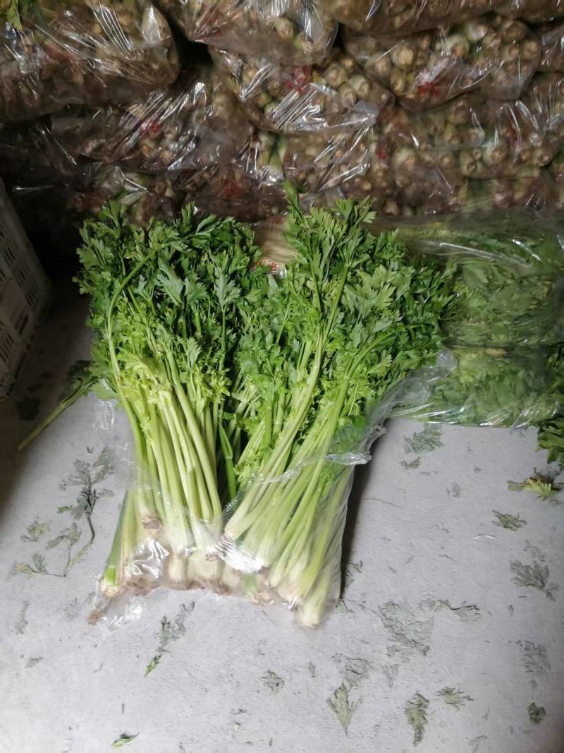 西芹