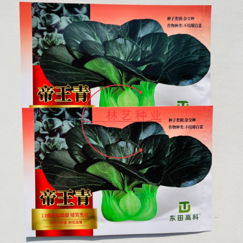 帝王青苏州青种子甜糯矮萁黑亮高产耐寒商品性佳