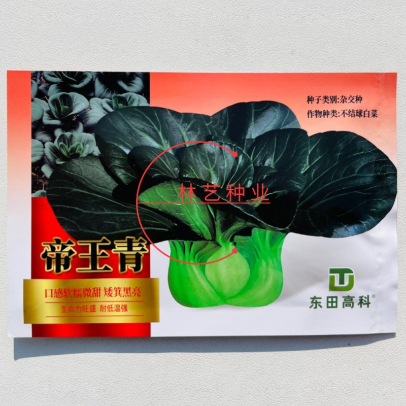 帝王青苏州青种子甜糯矮萁黑亮高产耐寒商品性佳