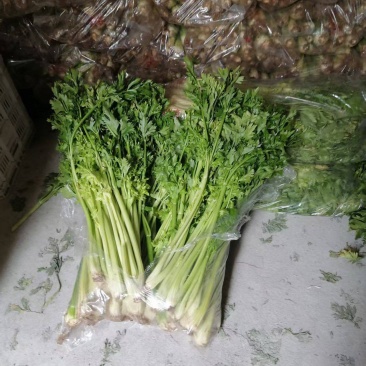 西芹
